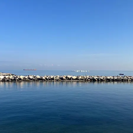 Haven By Gaia * Bari